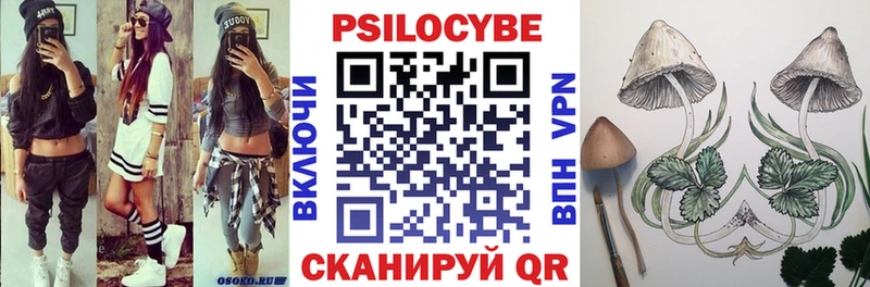 Псилоцибиновые грибы Psilocybe  Котлас 